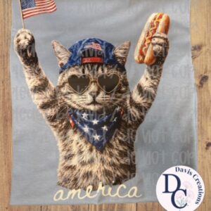 American Cool Cat With Hotdog Apparel